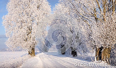 Snowy road Stock Photo