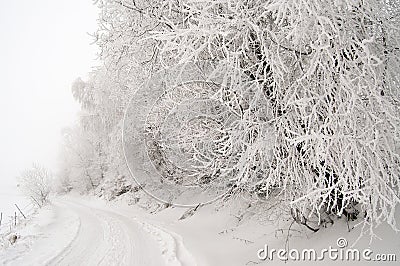 Snowy road Stock Photo