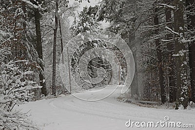 Snowy Road Stock Photo