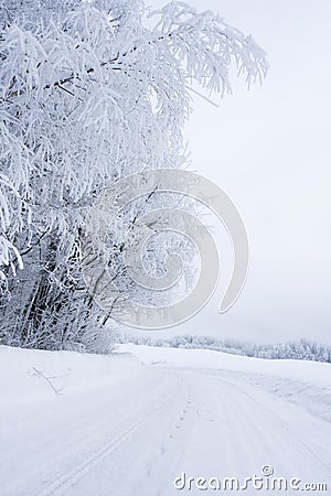 Snowy road Stock Photo