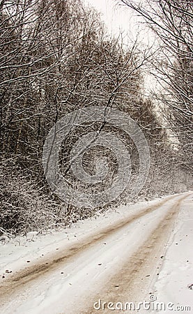 Snowy road Stock Photo