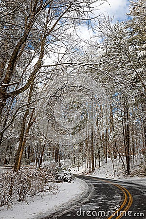 Snowy road winds through forest in winter Stock Photo