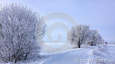 snowy road Stock Photo