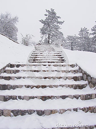 Snowy steps, heavy snowfall Stock Photo