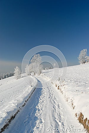 A straight road is covered with snow, Gorce, Poland Stock Photo