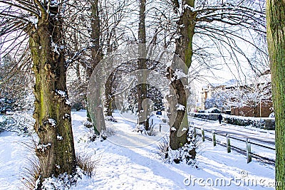 Snowy trees in Cutts Close park, Oakham Stock Photo