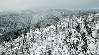 Mountain landscape, carpatian mountains, winter Stock Photo