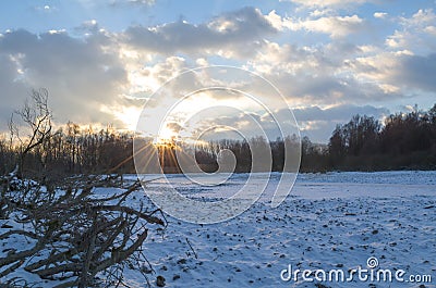 Snowy Winter Danube Backwater Landscape at Sunset Stock Photo