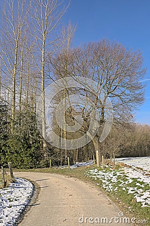 Dirt road along snow covered fields with trees in the Flemish countryside Stock Photo