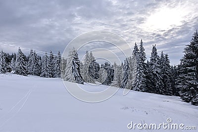 snowy winter forest in Germany with a ski lift on a cold day Stock Photo