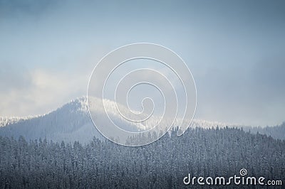 Snowy winter hills Stock Photo