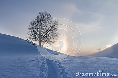 Snowy winter landscape in the alps, sunrise with halo phenomena Stock Photo