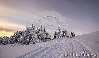Winter landscape in the evening. Stock Photo