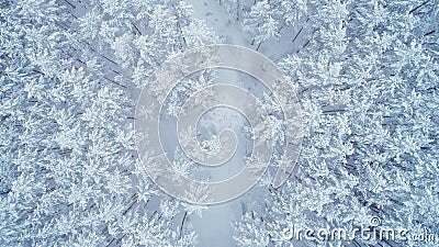 Snowy winter nature Stock Photo