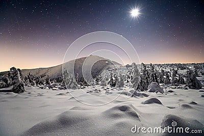 Snowy winter night with moon Stock Photo