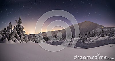 Snowy winter night with moonlight Stock Photo