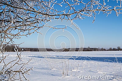 Snowy winter in the Park. Trees covered with white fluffy snow. Winter landscape. Celebration of New year and Christmas Stock Photo