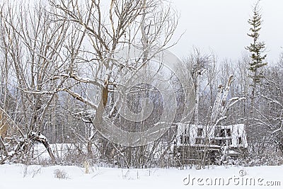 Snowy Winter Scene Stock Photo