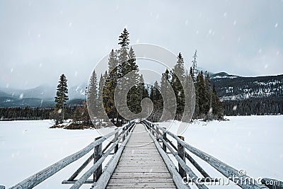 Snowy wooden bridge and tiny pine forest at Pyramid Lake on winter in Jasper national park Stock Photo