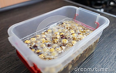 Soaking nuts. Girl shows dirty seeds. Chemical processing of food. Digestive problems are caused by intolerance peanuts, allergies Stock Photo