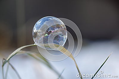 Soap bubble like a mirror - close up Stock Photo