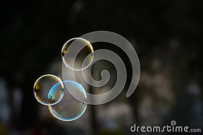 Soap bubble Stock Photo