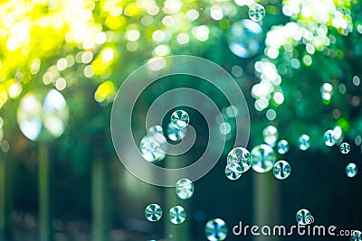 Soap bubbles floating in the air, summer time Stock Photo