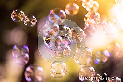 Soap bubbles floating in the air, summer time Stock Photo