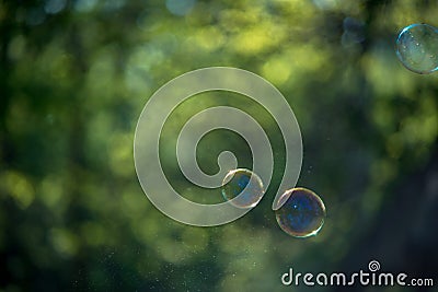 Soap bubbles Stock Photo