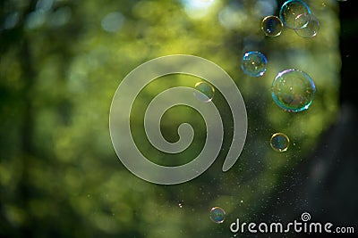 Soap bubbles Stock Photo