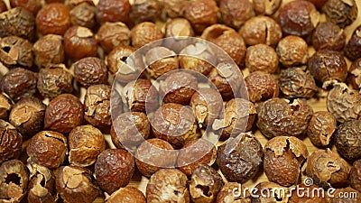 Soap nuts Indian soapberry or washnut, Sapindus mukorossi reetha or ritha from the soap tree shells are used to wash Stock Photo