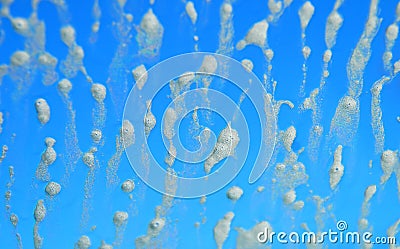 Soap Suds on Blue Glass Stock Photo