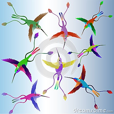 The soaring tropical humming-birds of different flowers and shades Vector Illustration