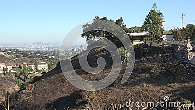 Sobreviviendo a casa luego del incendio de Getty en Los Ángeles Sobreviviendo a casa luego del incendio de Getty en Los Ángeles