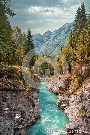 Soca River in Triglav National Park, Slovenia Stock Photo