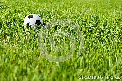 Soccer Ball Football on Grass Stock Photo