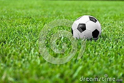 Soccer Ball Futbol on Grass Stock Photo