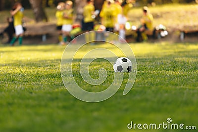 Soccer Ball on Grass Field. Classic Old-school White and Black Soccer Ball Lying Football Pitch Stock Photo