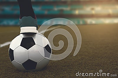 Soccer ball on the grass. Female football, concept of football Stock Photo