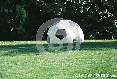 Soccer ball on grassy field Stock Photo