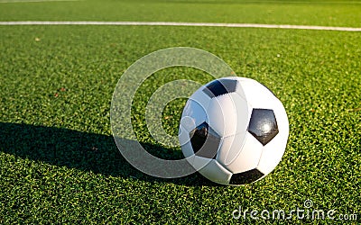 A soccer ball lying on the football pitch. Stock Photo