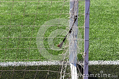 Soccer football field gate mesh Stock Photo