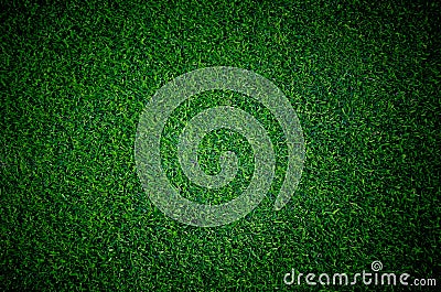 Soccer football grass field Stock Photo