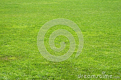 Soccer grass Stock Photo