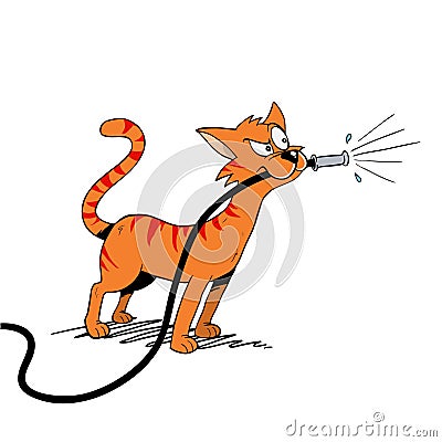 Orange cat holding water hose in mouth Stock Photo