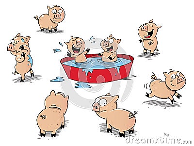Lots of cute little pigs playing Stock Photo
