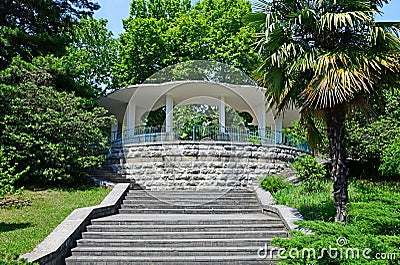 Sochi, Russia - June 5. 2018. central alley in park arboretum Editorial Stock Photo