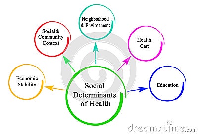 Social Determinants of Health Stock Photo