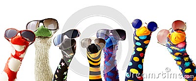 Sock puppets wearing glasses Stock Photo