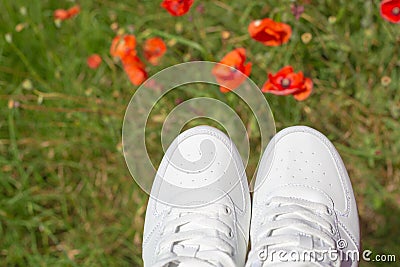 Socks of white sneakers on the background of a green meadow with poppies. Summer sports and recreation Stock Photo